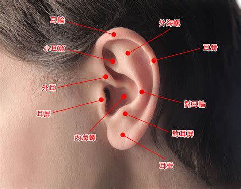 耳洞部位 主機擺放位置